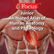Jr. Animated Atlas Complete (All 6 Topics)