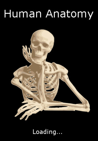 Human Anatomy!