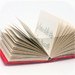 Translation Dictionary