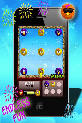 Bumping Birds - HD !