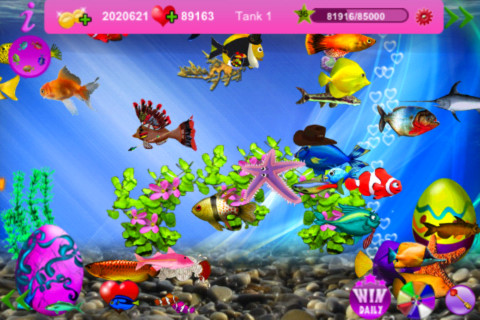 Fish in Love