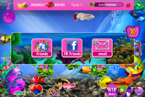 Fish in Love