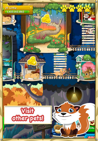 Dream PetHouse