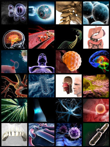 3D4Medical's Images