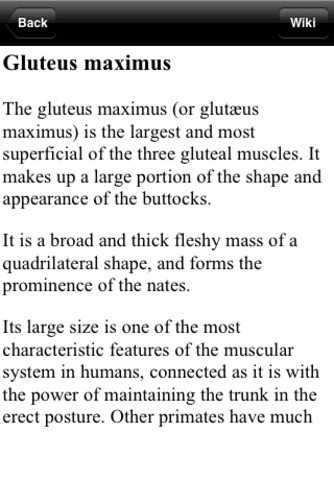 Human Anatomy!
