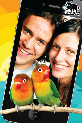 Picture Perfect Animals