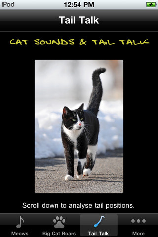 Cat Sounds & Tail Talk