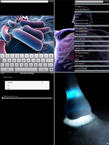 3D4Medical's Images