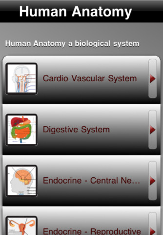 Human Anatomy!
