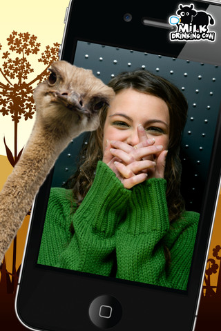 Picture Perfect Animals